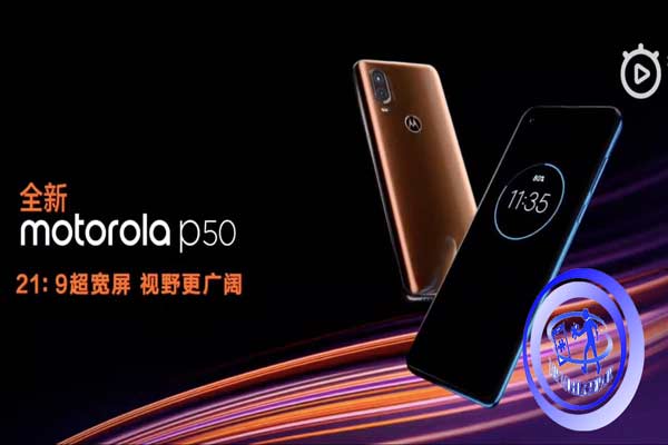 آغاز فروش گوشی Motorola P50 در چین