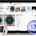 احتمال ادغام Apple Music با استوری‌ اینستاگرام